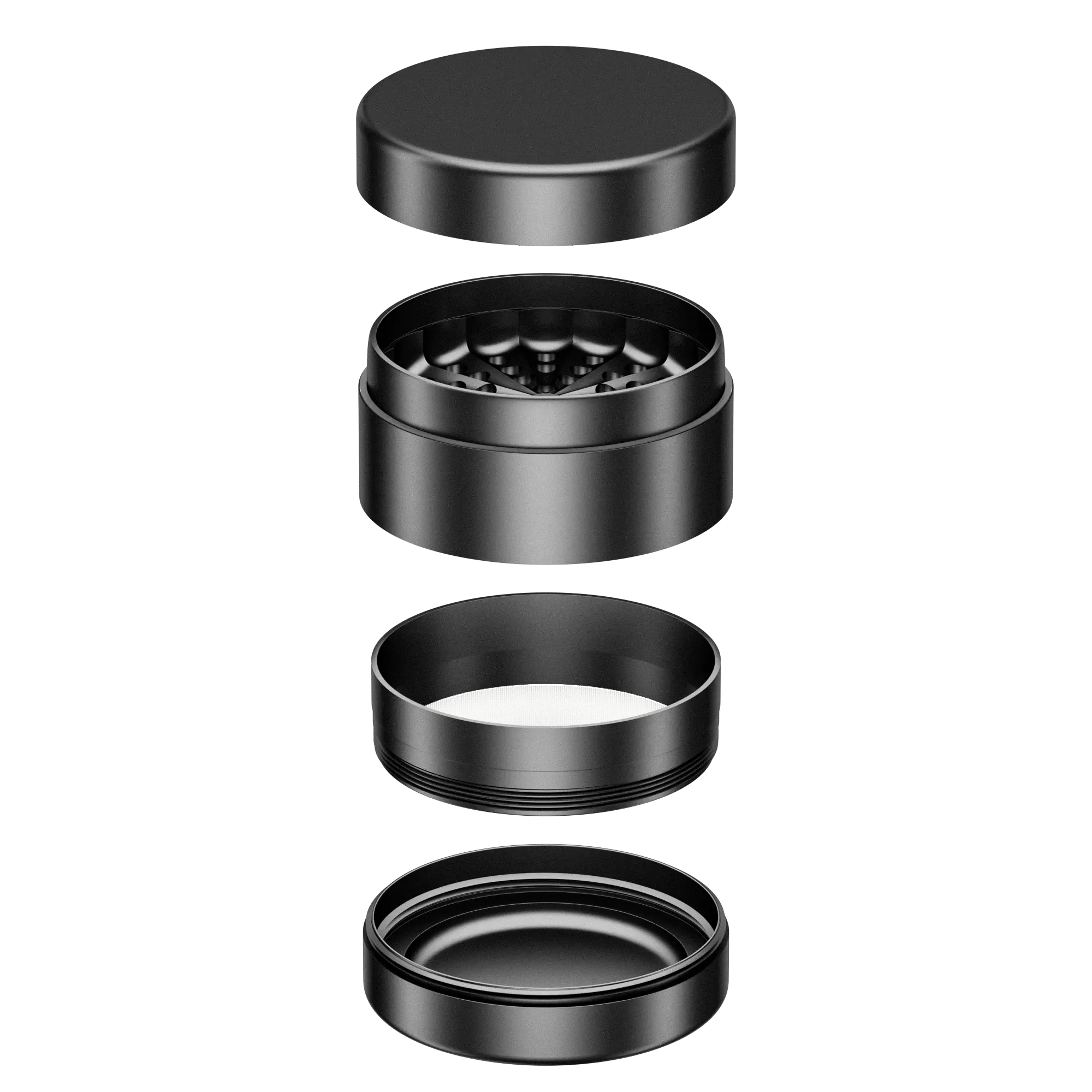 Langeoog Toothless Grinder